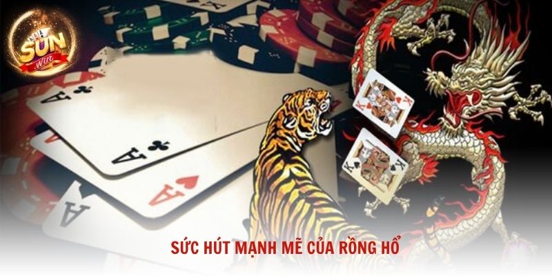Sức hút mạnh mẽ của Rồng Hổ